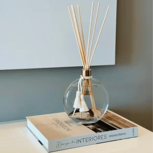 Bâton De Diffuseur